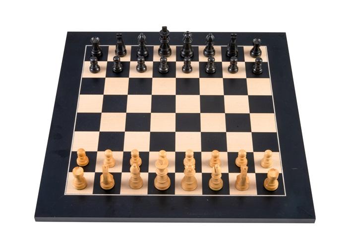 17558310.jpg