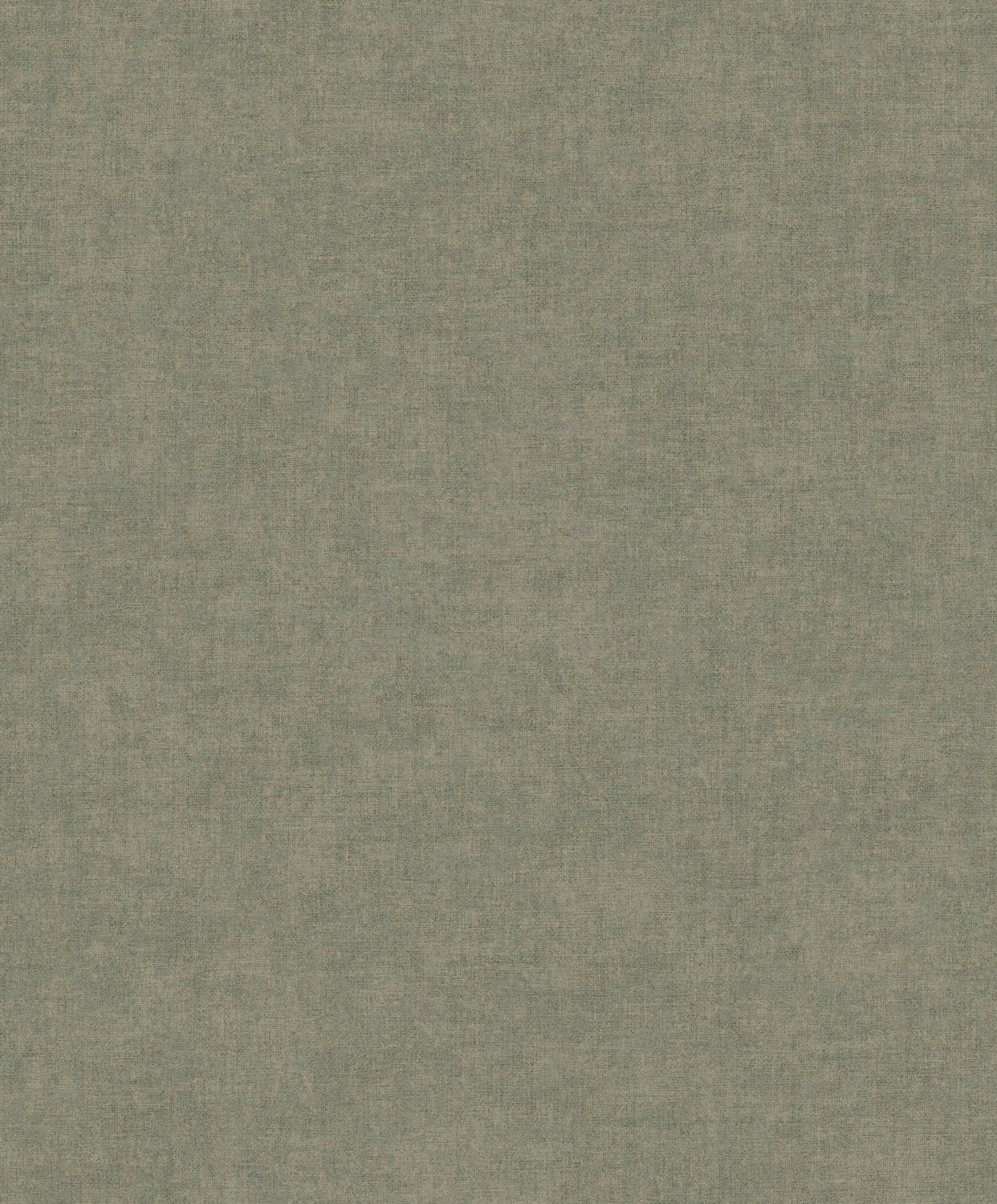 18329209.jpg