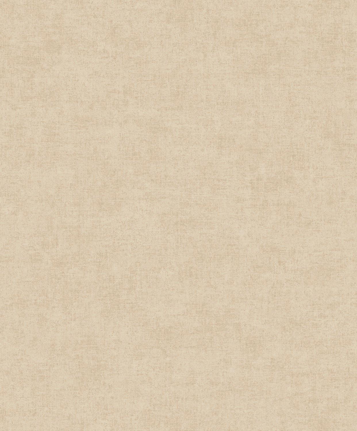 18329243.jpg