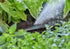 17990802-1.jpg