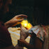 18717242-4.jpg