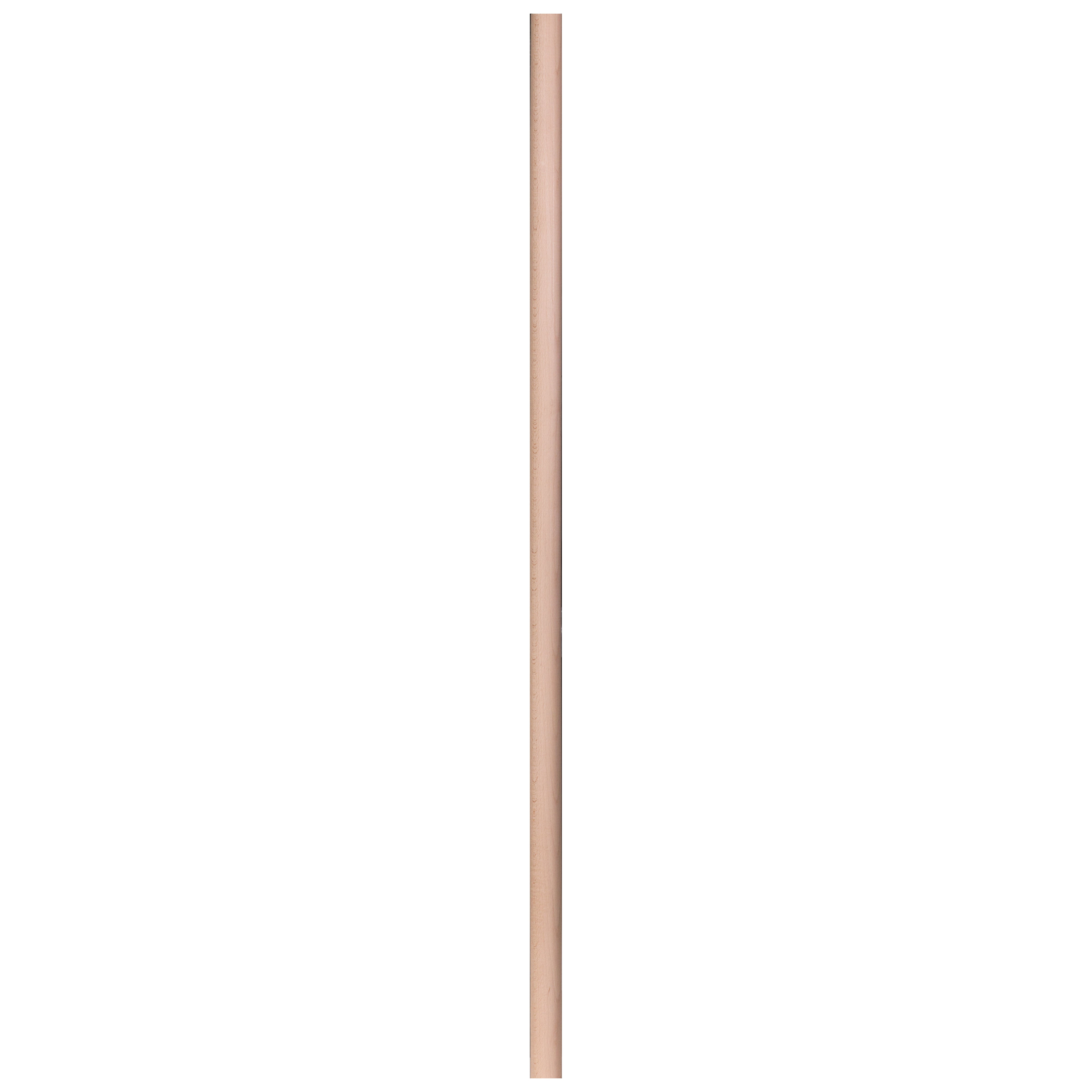 10687031-2.jpg
