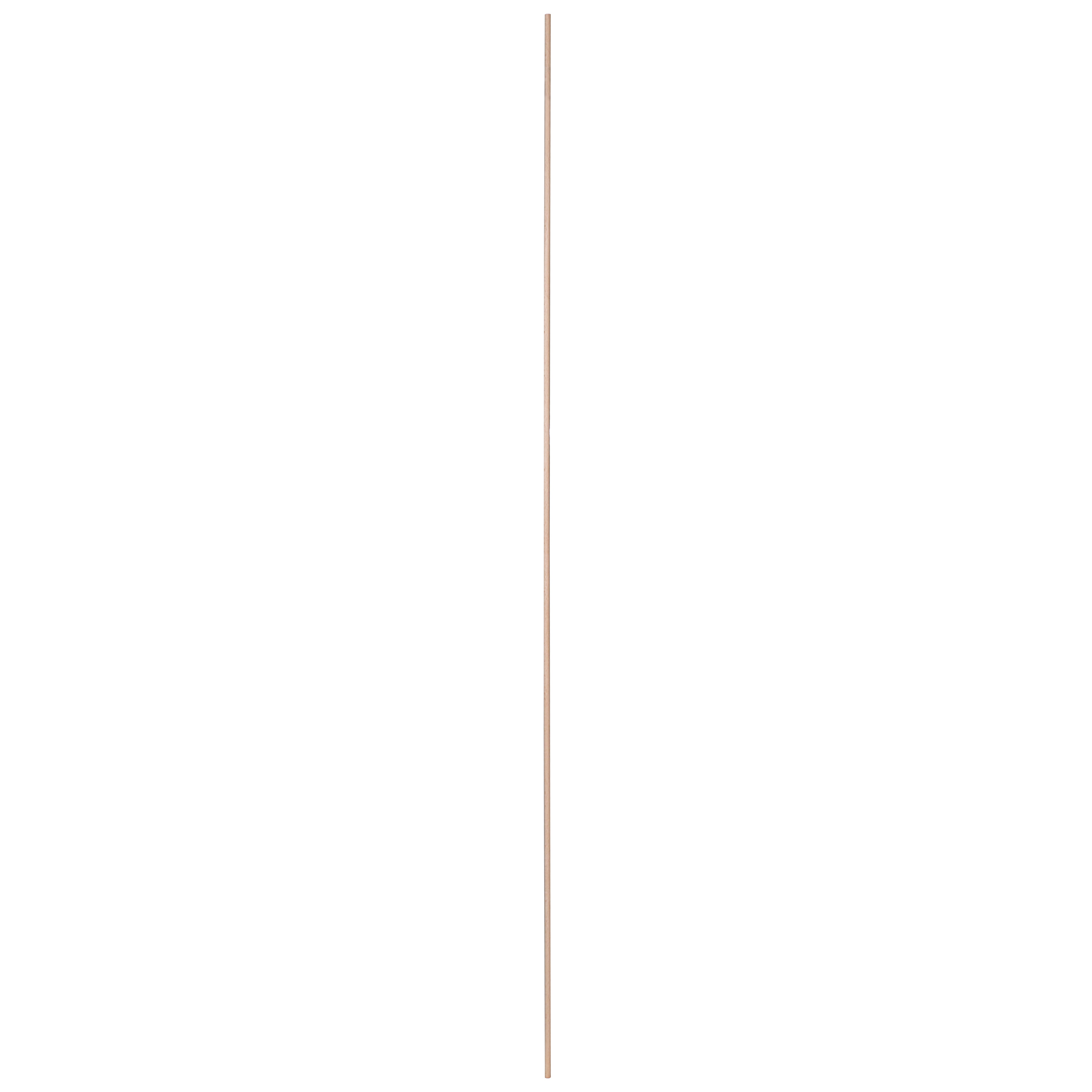 873312-5.jpg