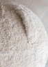 18748998-1.jpg