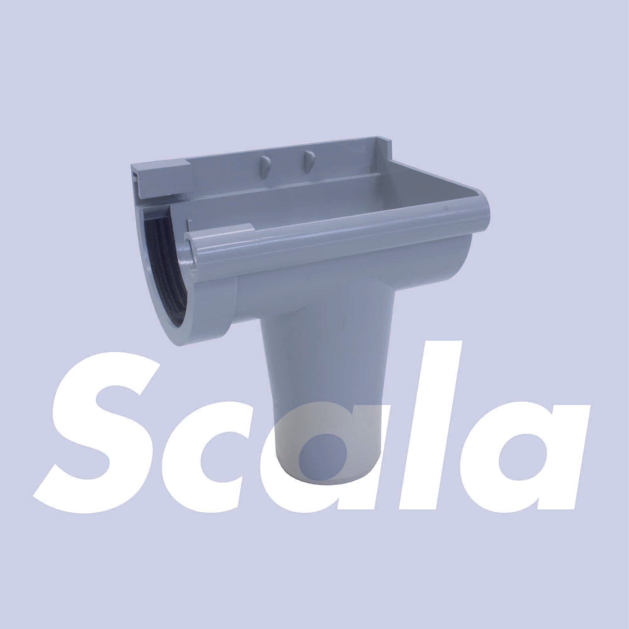 594590.jpg