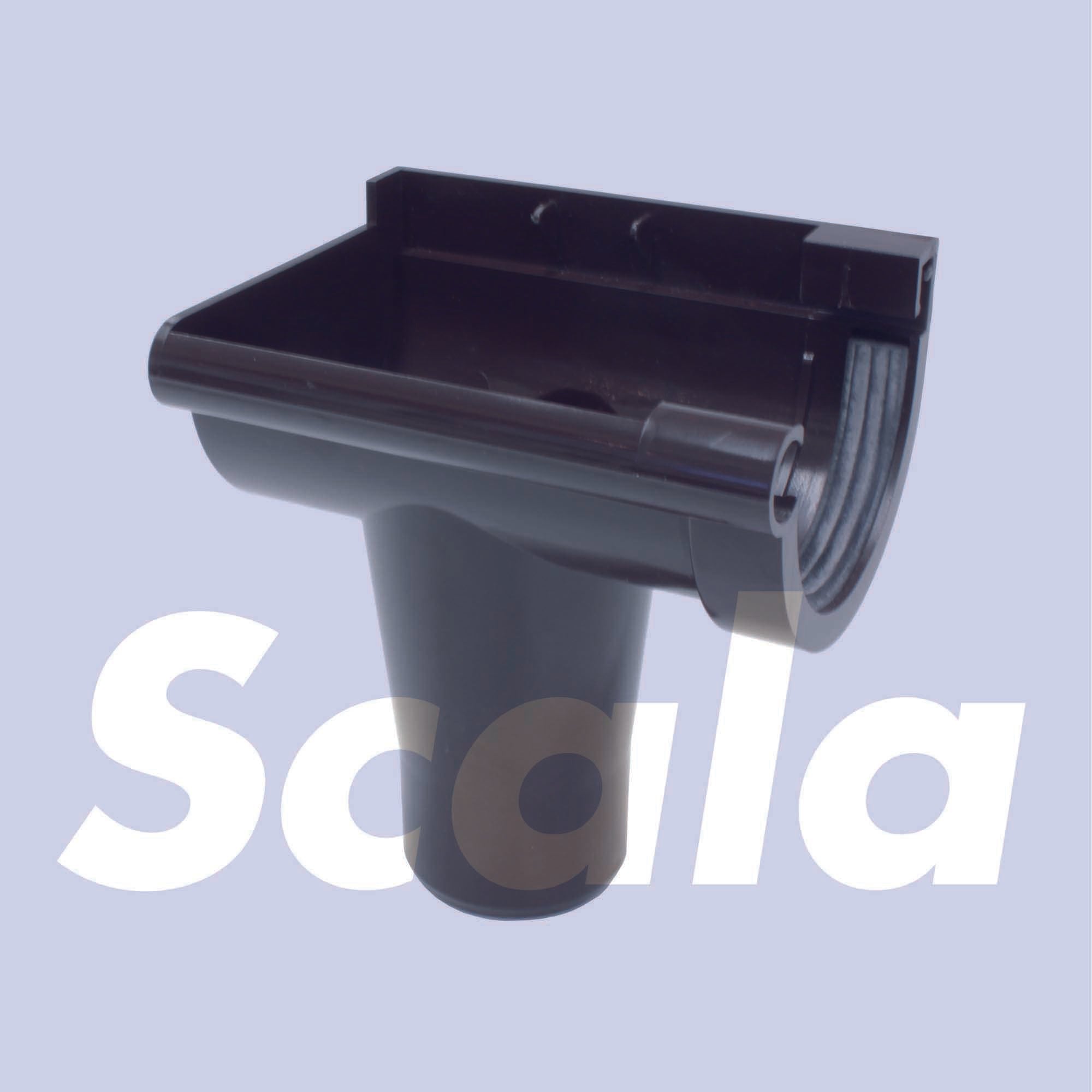 512790.jpg