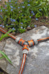 10589342-3.jpg