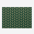 16586048.png