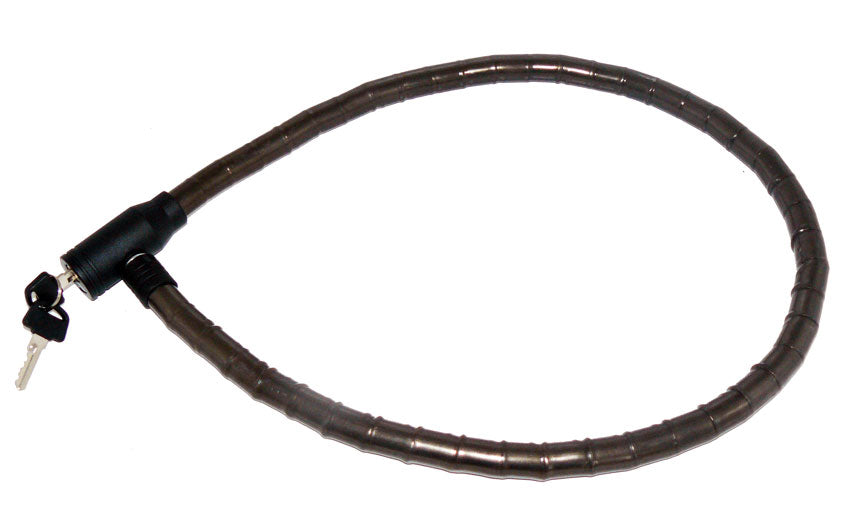 10419708.jpg