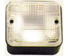 10993022.jpg