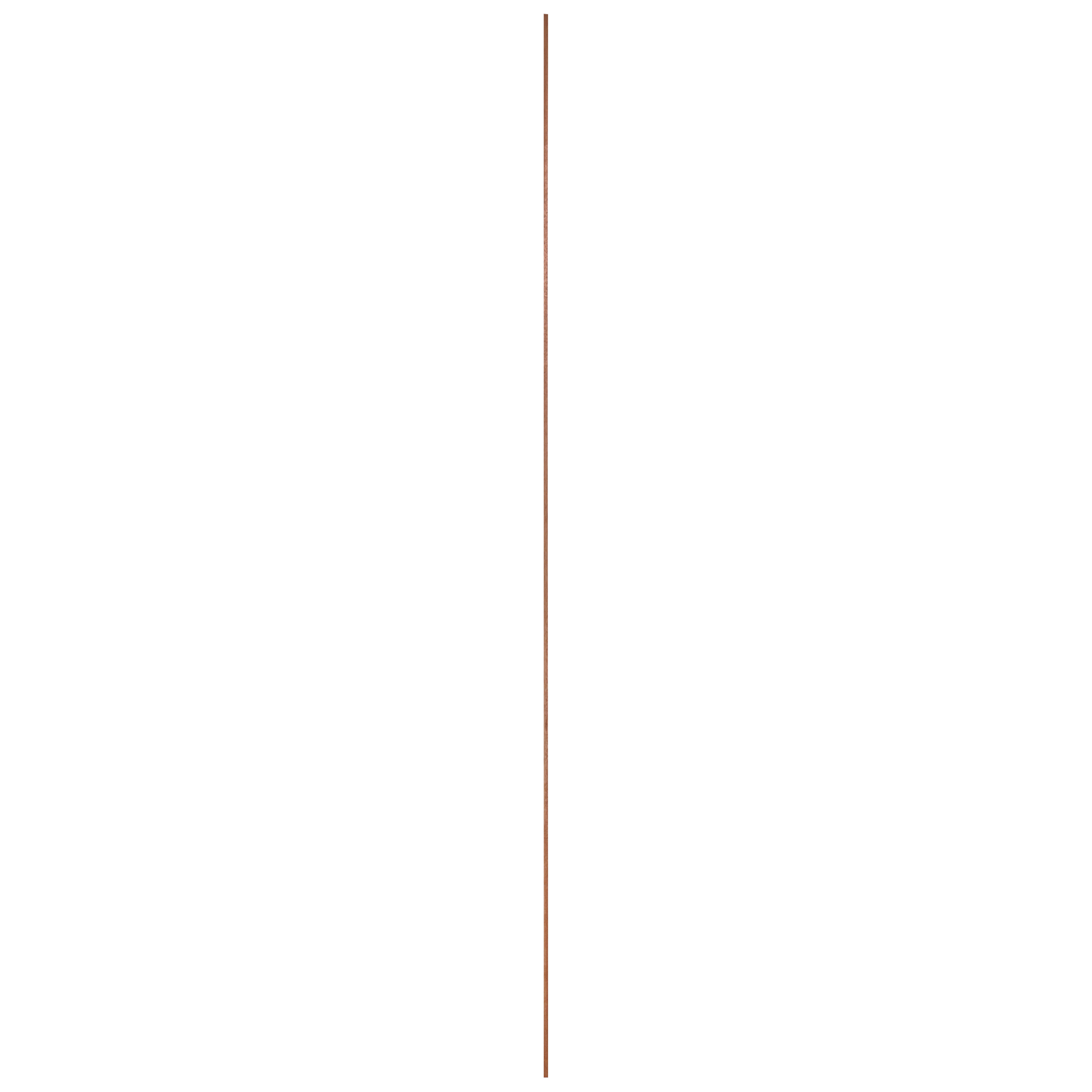 11767165-5.jpg