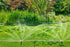 18004375-4.jpg