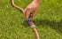 18004755-1.jpg