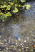 15299233-9.jpg