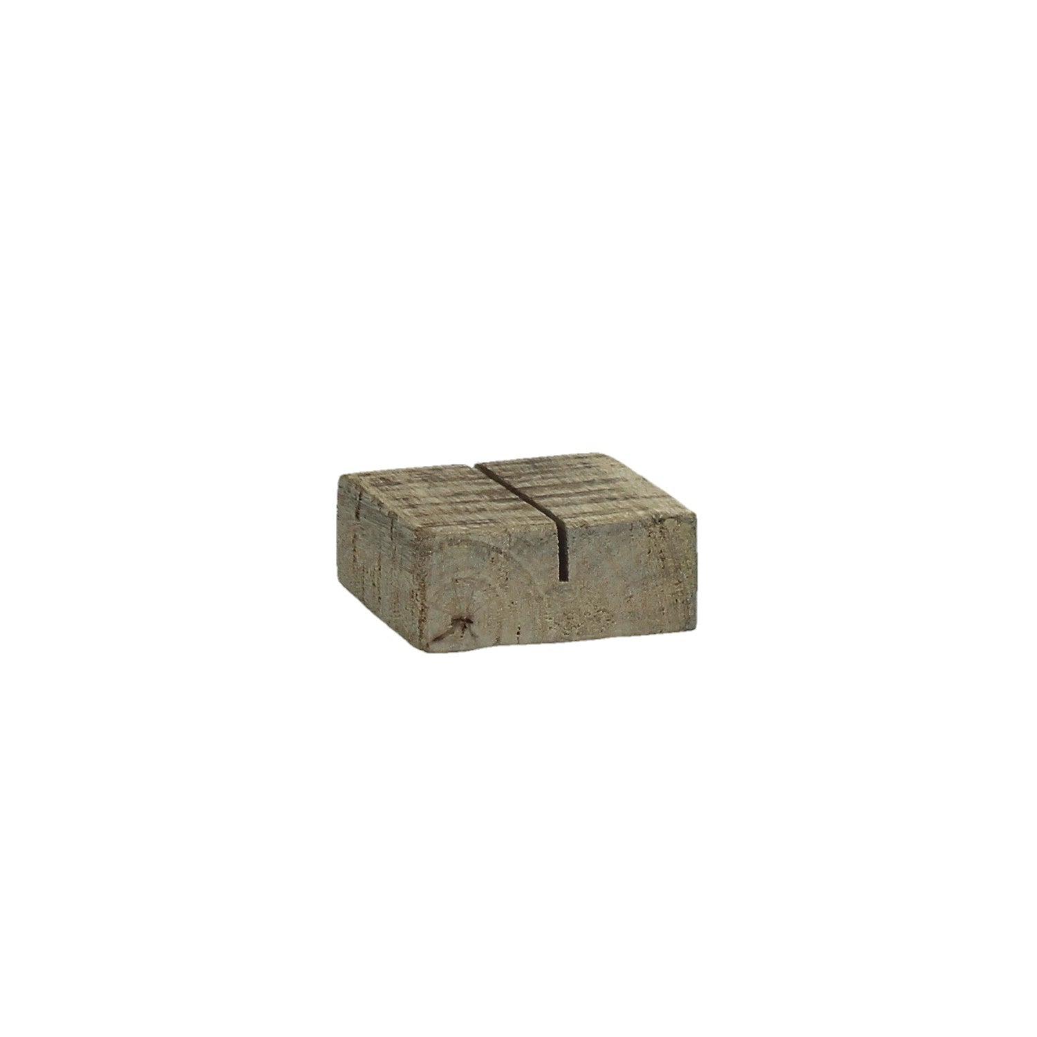 15835709.jpg