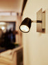 13658928-2.jpg