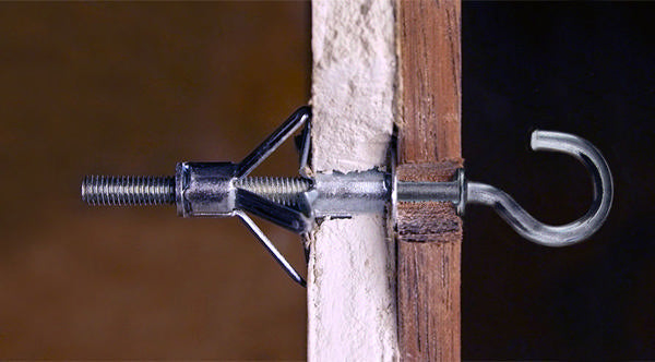 13298638-2.jpg