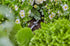 17990064-1.jpg