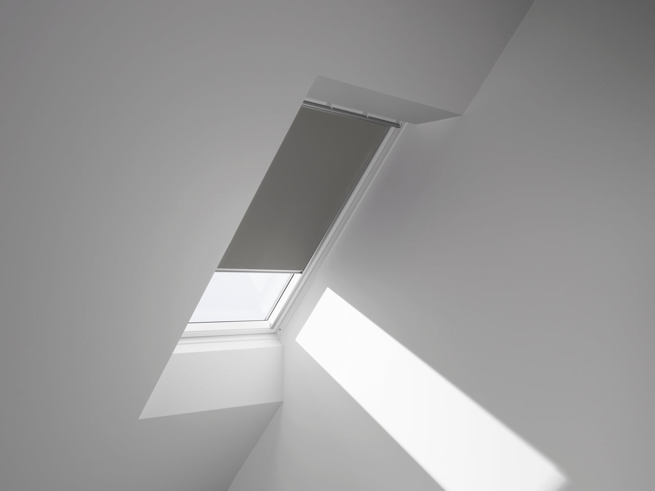 14003257.jpg