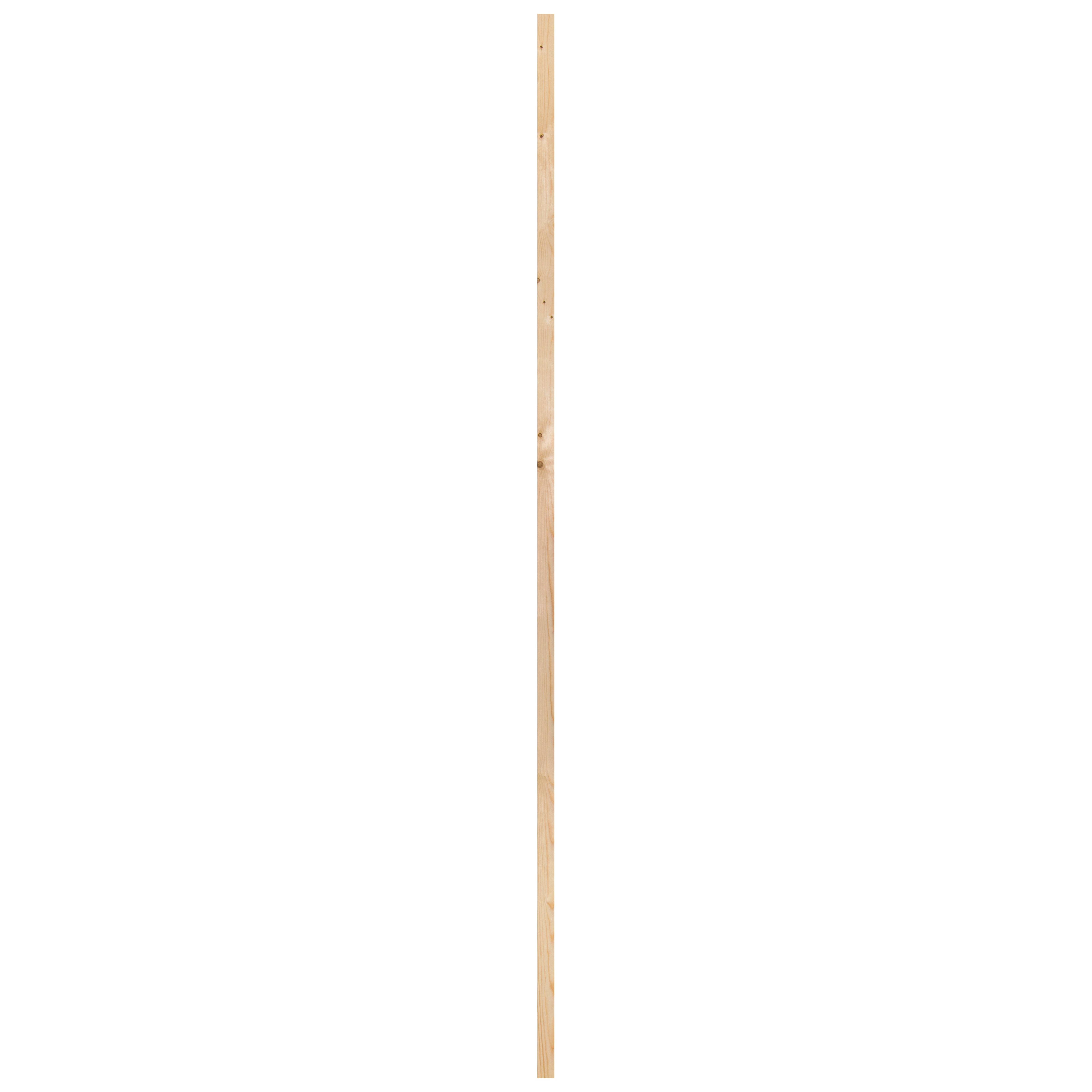 10748558-2.jpg