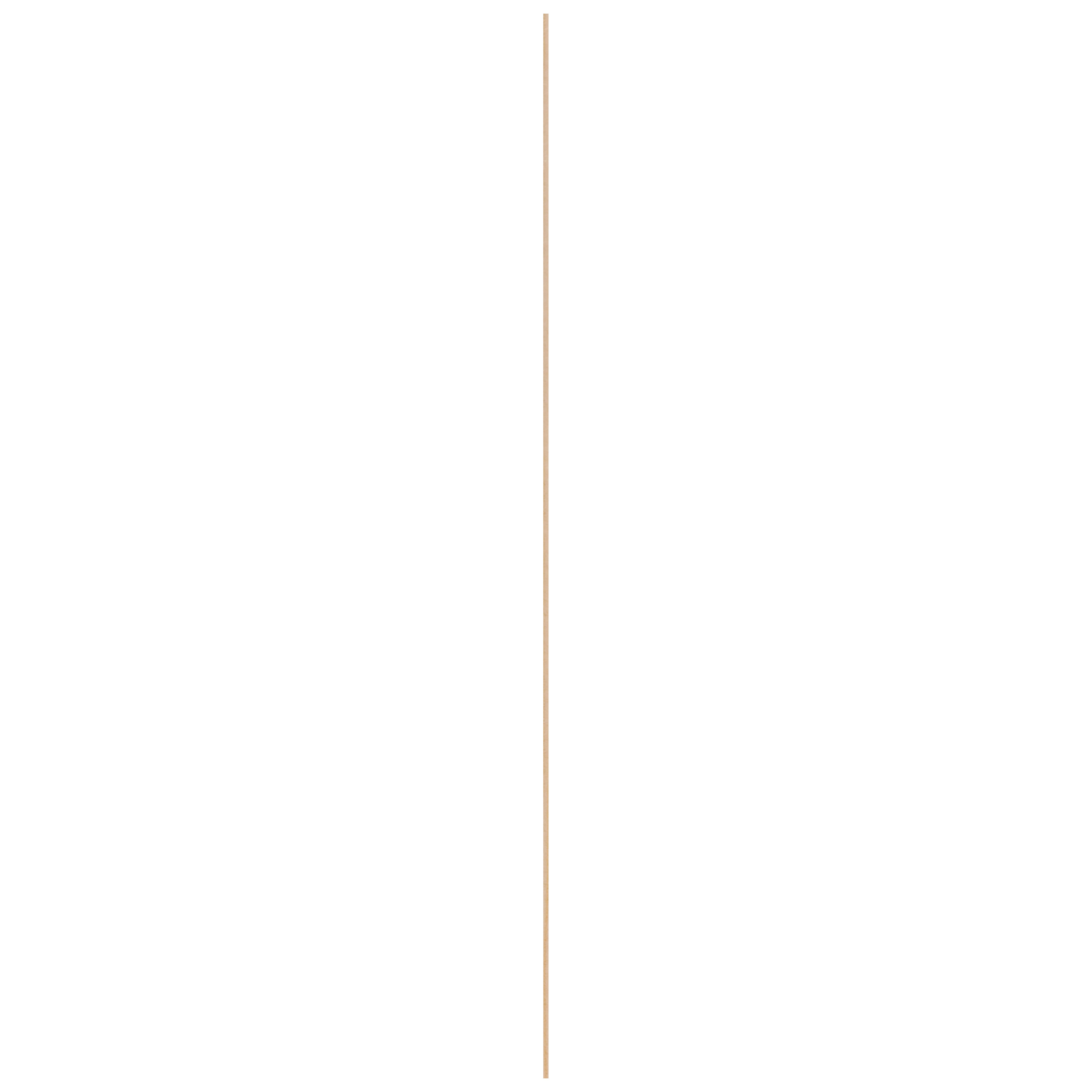 15236058-6.jpg